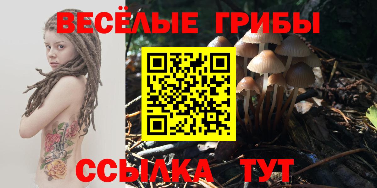 Псилоцибиновые грибы ЛСД  Вход с VPN  Псилоцибиновые грибы Psilocybe  Новочебоксарск 