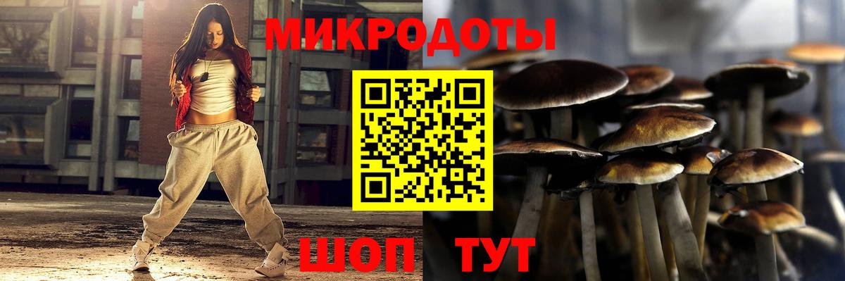 Галлюциногенные грибы Cubensis Новочебоксарск